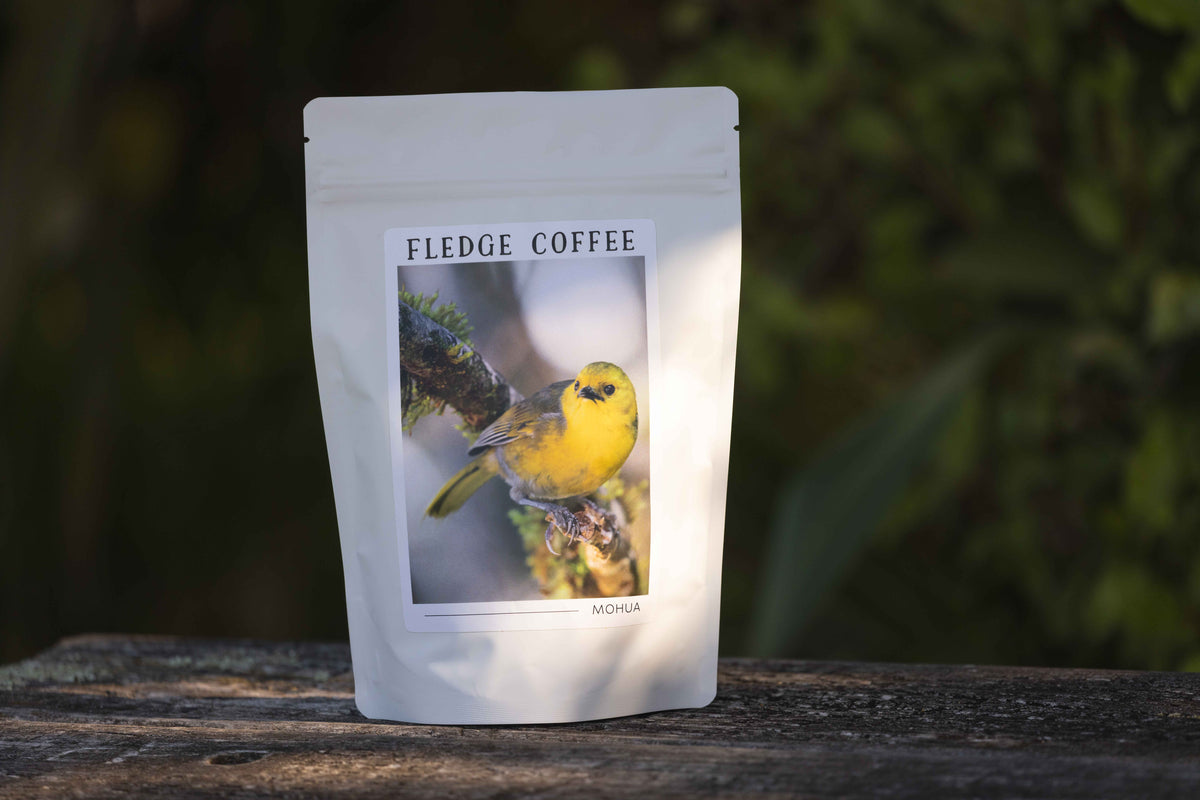 Ethiopia Guji Zafi
