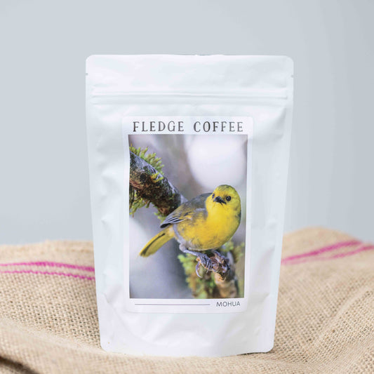 Ethiopia Guji Zafi